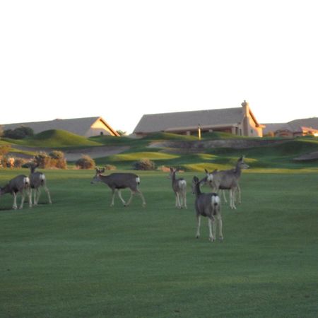 Gold Canyon Golf Resort Chambre photo