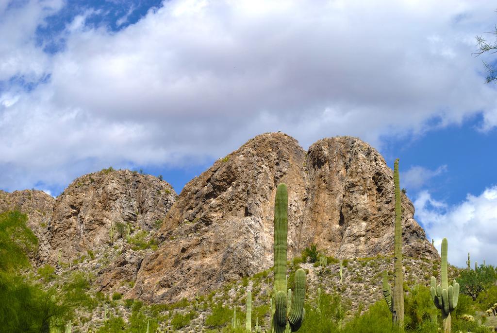 Gold Canyon Golf Resort Chambre photo
