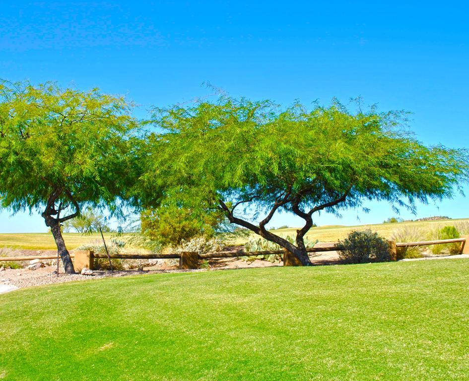 Gold Canyon Golf Resort Chambre photo